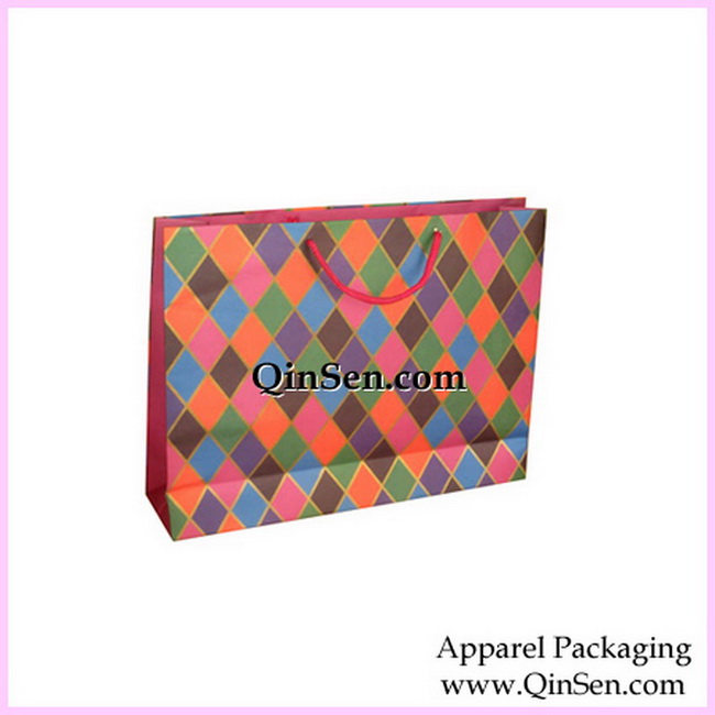 Paper Shopping bag with Rope Handle-AB00232