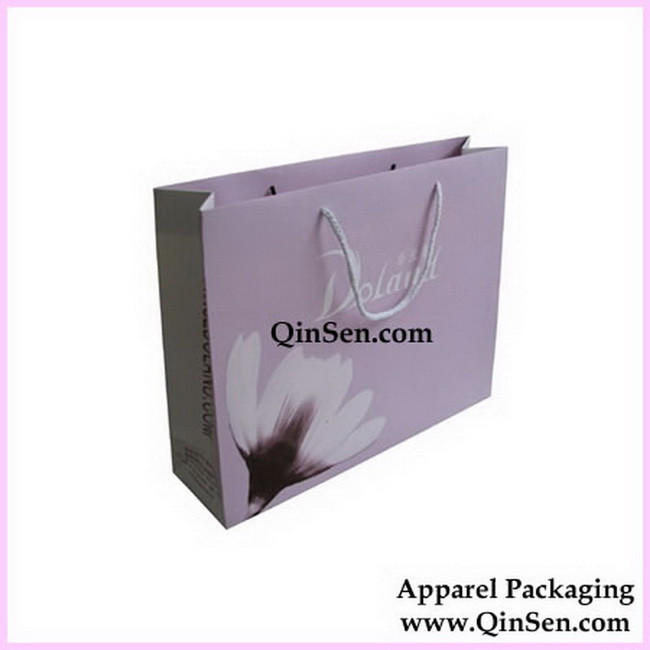 Exquisite Paper Gift Bag with Custom Brand Printed-AB00246