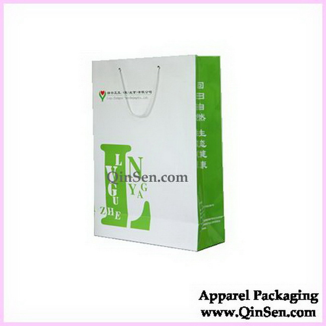 Elegant Branded Paper Bag with Fancy Logo Design-AB00360