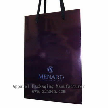Printed Paper Shopping Gift Bag with Handle