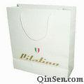 Luxury  Fashion Bag with Custom Brand Design