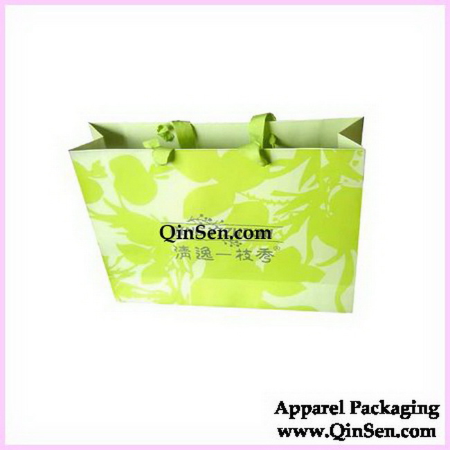 Distinctive  Paper Gift Bag with Logo Design-AB00259