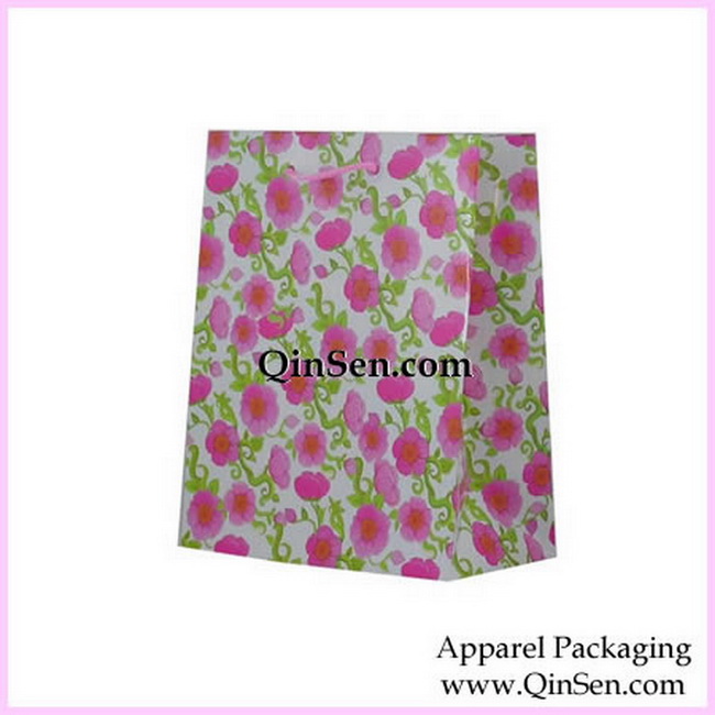 Colored Paper Shopping Bag for Clothing Shop-AB00285