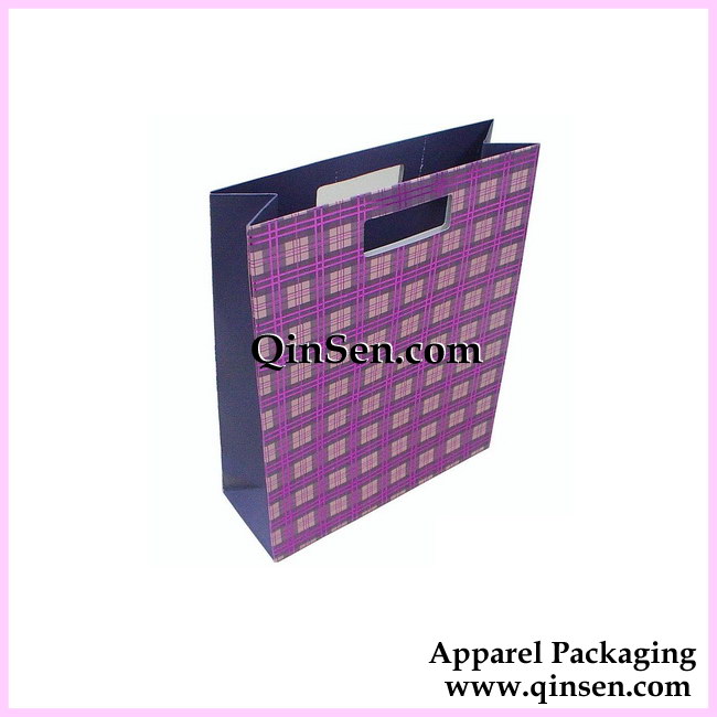 Apparel Paper Bag with Die Cut handle-AB00570