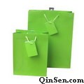 Solid Color Woodfree / Kraft Paper Bags with Match color Tag