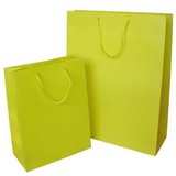 Solid Color Paper Shopping Bag with match color rope