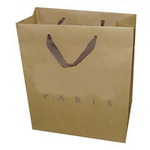 Brown Kraft paper Euro-Tote bag