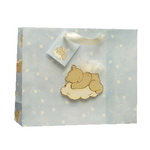 Baby paper bag with cartoon design & Tag for clothing ,baby suit