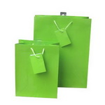 Solid Color Woodfree / Kraft Paper Bags with Match color Tag