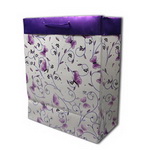 Luxury Paper Gift Bag with Custom Design