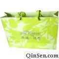 Distinctive  Paper Gift Bag with Logo Design