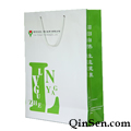 Elegant Branded Paper Bag with Fancy Logo Design