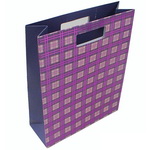 Apparel Paper Bag with Die Cut handle