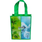 Custom Printed Shiny Lamination Non Woven Shopping Bag