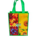 Luxury Laminatioin Non Woven Bag with Custom Design