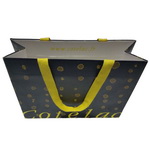 Beautiful Branded Gift Bags with Custom Brand and Glue Ribbon Ornament Handle