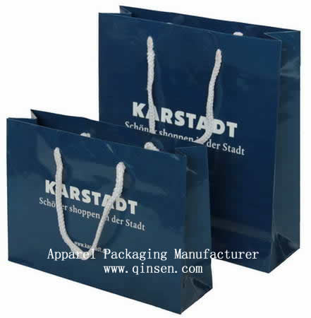 Luxury Paper Shopping Gift Bag with Buyer's Logo